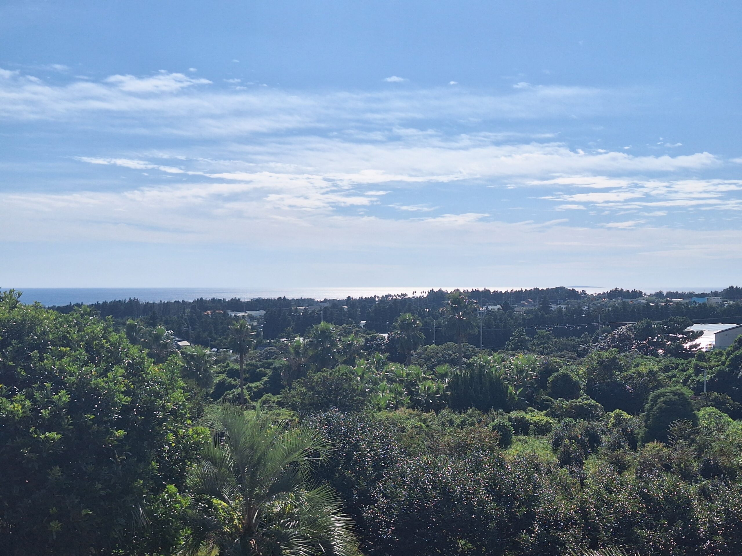 제주도의 어느날