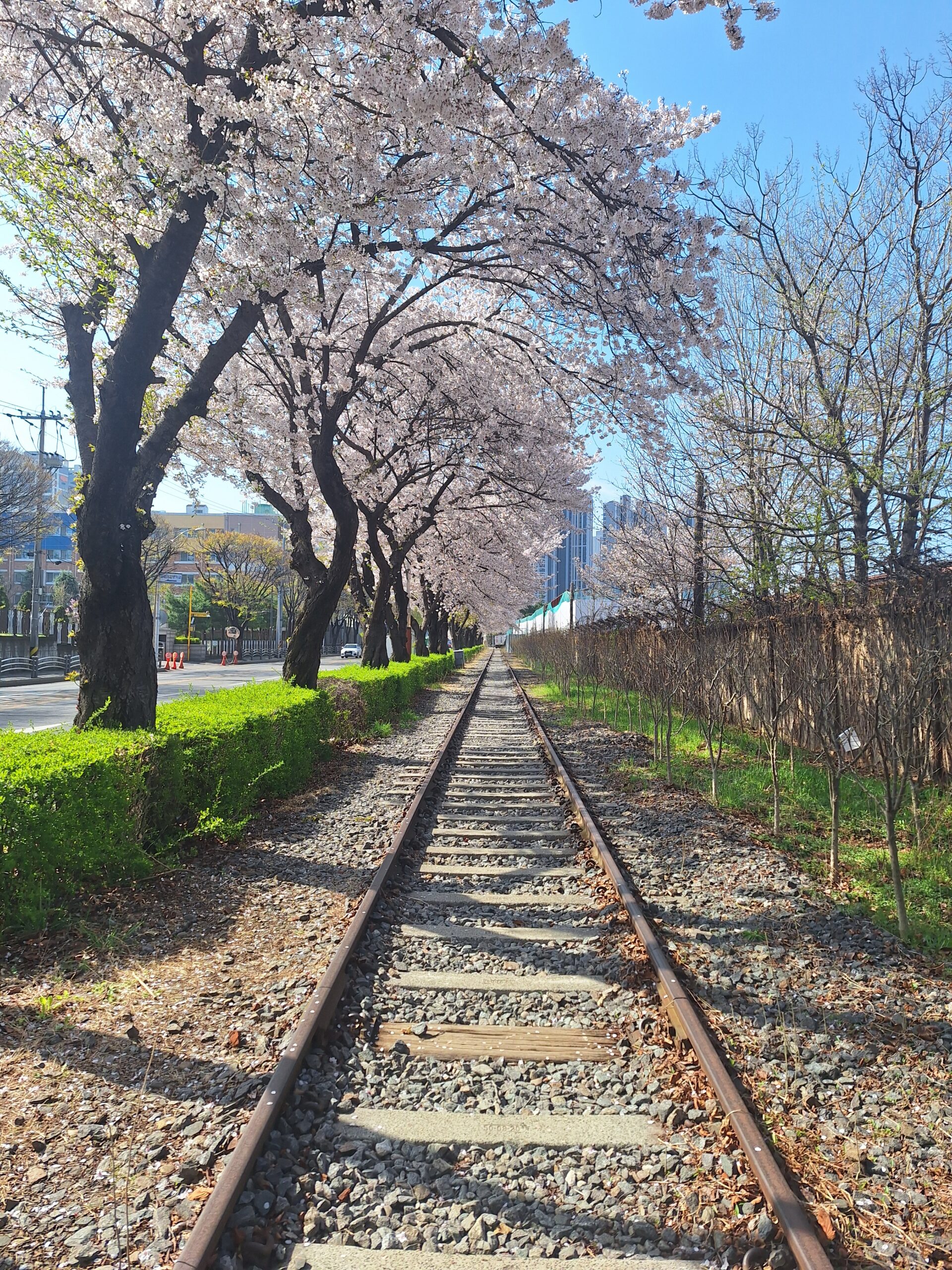 철 지난 어느 봄날