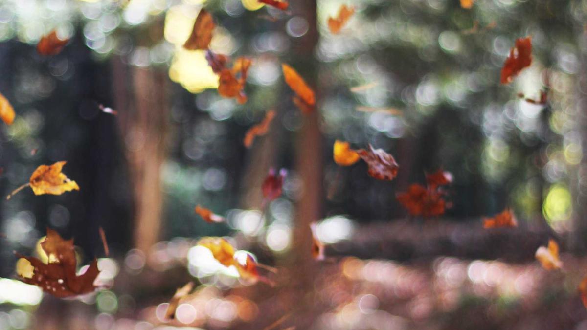 한글테스트 AI와 일상의 균형