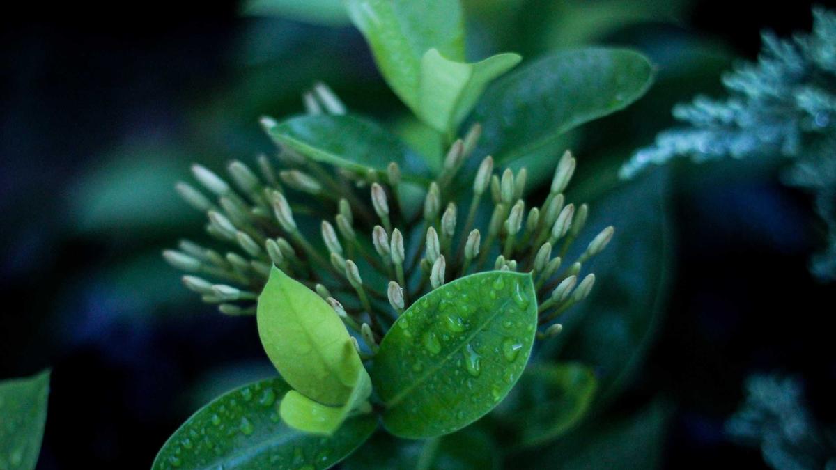 한글테스트 조용한 아침 루틴