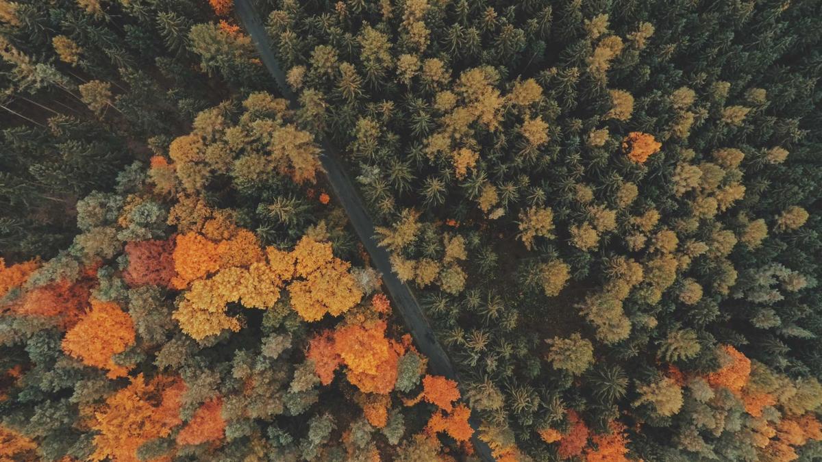 한글테스트 저녁 노을과 산책은 즐거워 정말