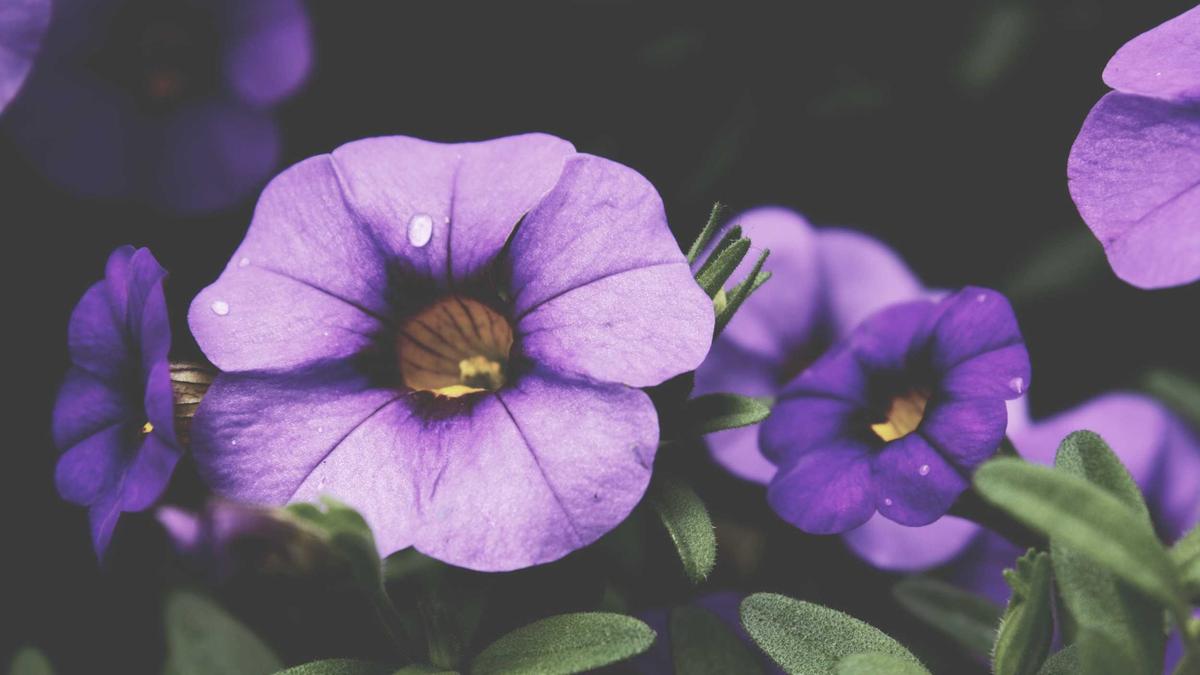 한글테스트 작은 서재를 채우는 속도