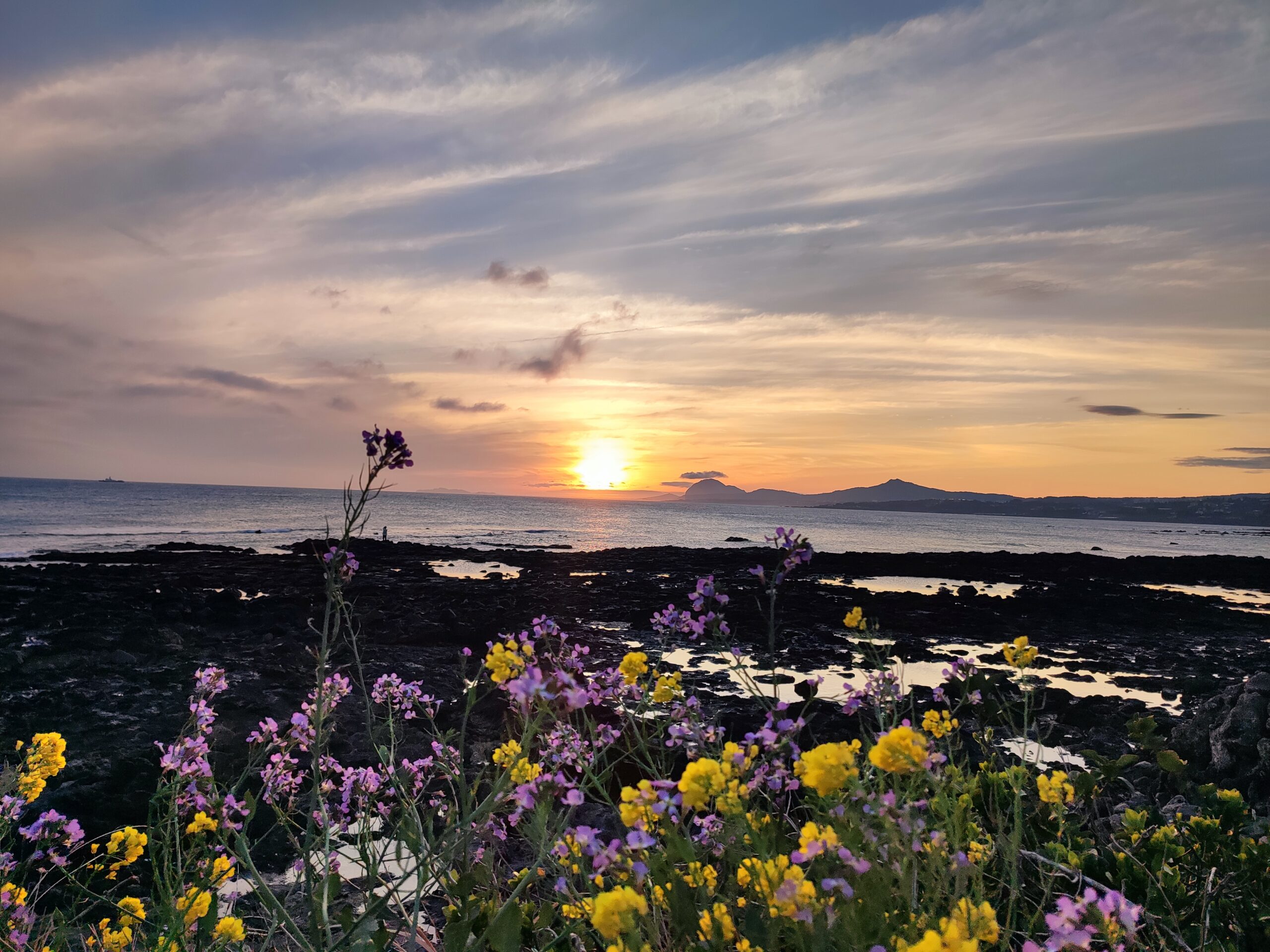 살기 좋았었기 때문에